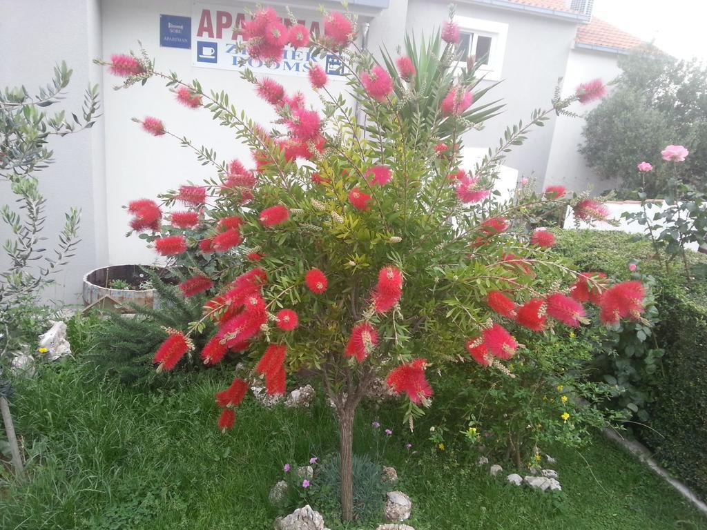 Filip Apartment Omiš Dış mekan fotoğraf